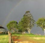 CBR Equine Cottage - Accommodation Coffs Harbour