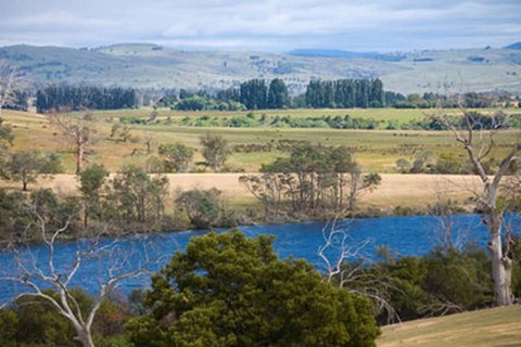 Curringa Farm - Accommodation Coffs Harbour 3