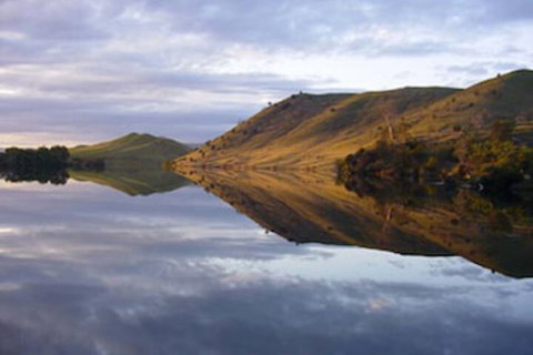 Curringa Farm - Accommodation Coffs Harbour 0