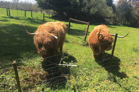 Neerim Country Cottages - Accommodation Coffs Harbour 2