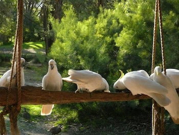 Accommodation Coffs Harbour