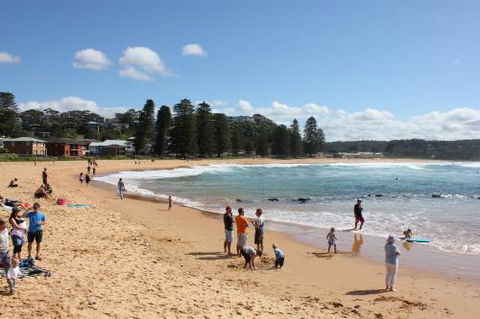 Avoca Beach Cape Cottage - Accommodation Coffs Harbour 6