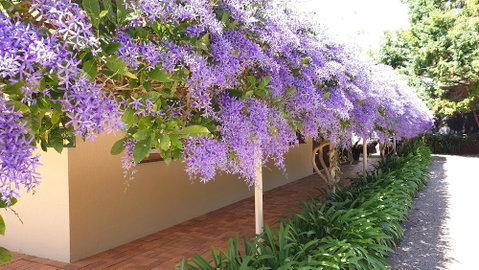 Bendles Cottages And Country Villas - Accommodation Coffs Harbour 4