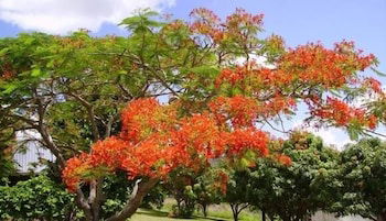 Chatsworth QLD Accommodation Coffs Harbour