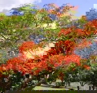 Eastwood Farm - Accommodation Coffs Harbour