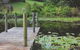 Allara Homestead - thumb 0