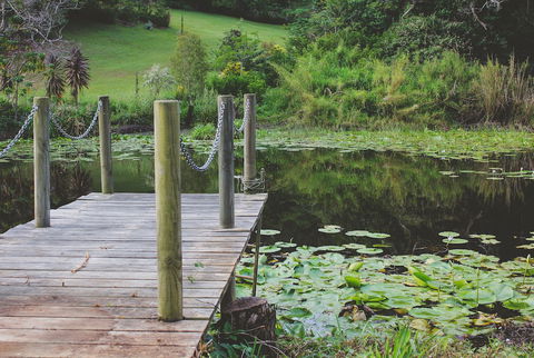 Allara Homestead - Accommodation Coffs Harbour 0