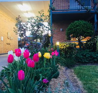 The Vines Motel and Cottages - Accommodation Coffs Harbour