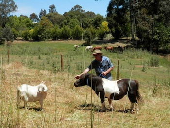 Country Cottages Of Bridgetown - Accommodation Coffs Harbour 0