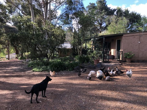 Country Cottages Of Bridgetown - Accommodation Coffs Harbour 4