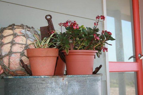 Bremer Bay B & B - Accommodation Coffs Harbour 2