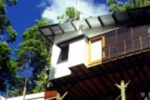 Lyola Pavilions In The Forest - Accommodation Coffs Harbour 1