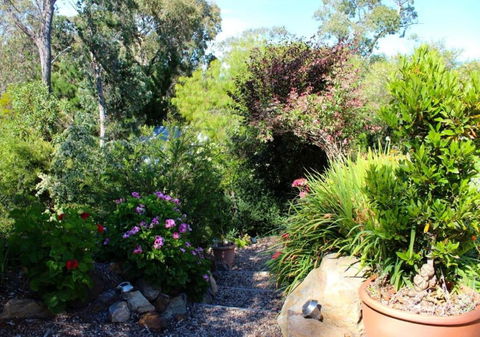 Astley Cottage - Accommodation Coffs Harbour 4
