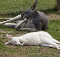 A Twist of Willow - Accommodation Coffs Harbour