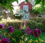 A Country Barn Retreat - Accommodation Coffs Harbour