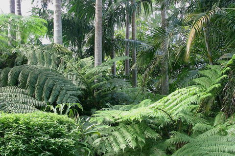 Amore Mt Tamborine - Accommodation Coffs Harbour 1
