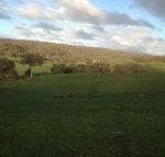 Mancuso Country Cottage Retreat - Accommodation Coffs Harbour