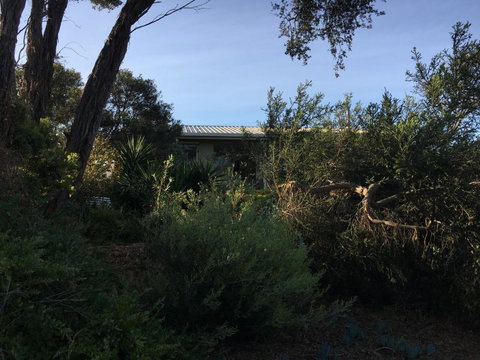 Andrews On Topaz - Accommodation Coffs Harbour 2