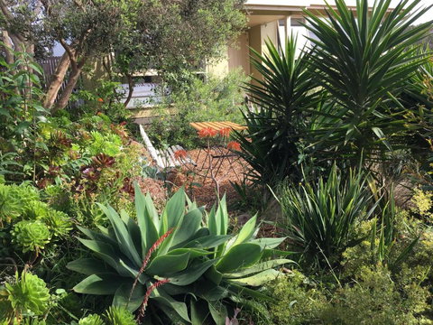 Andrews On Topaz - Accommodation Coffs Harbour 4