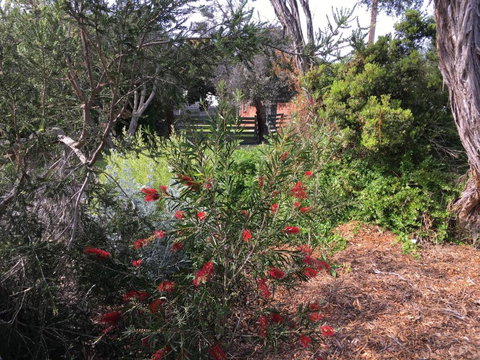 Andrews On Topaz - Accommodation Coffs Harbour 6