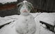 CHILL OUT At THREDBO - thumb 2