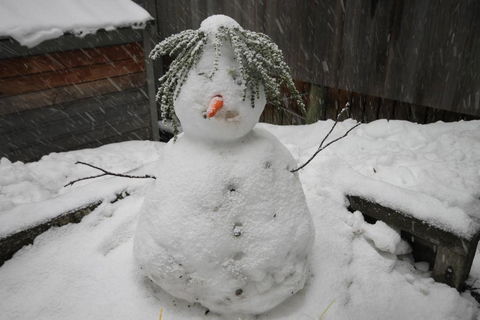 CHILL OUT At THREDBO - Accommodation Coffs Harbour 2