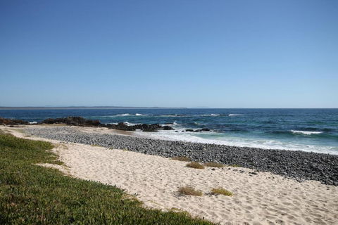 CHILL OUT BEACHSIDE At FORSTER - Accommodation Coffs Harbour 5