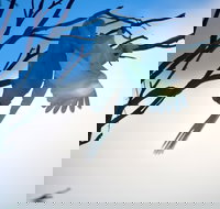 Tenterfield Cottage Holiday House - Accommodation Coffs Harbour