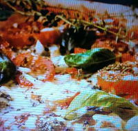Alfio's Pizzeria - Accommodation Coffs Harbour
