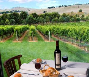 Highland Heritage Estate Restaurant & Function Centre - Accommodation Coffs Harbour 6