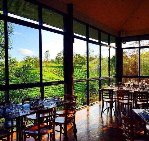 Ocean View Estates Winery And Restaurant - Accommodation Coffs Harbour 16