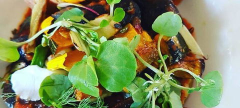 Ocean View Estates Winery And Restaurant - Accommodation Coffs Harbour 1