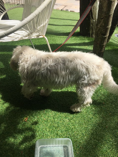 Rococo - Accommodation Coffs Harbour 6