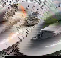 Cafe Lazat - Accommodation Coffs Harbour