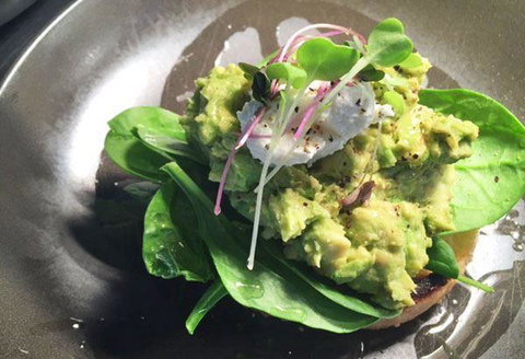 Greenback Eatery - Accommodation Coffs Harbour 18