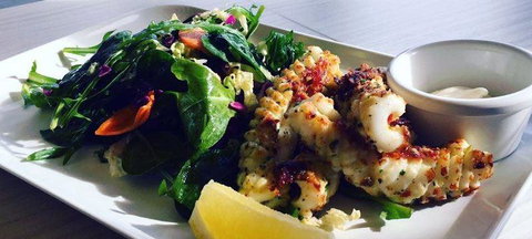 The Paddock Bakery - Accommodation Coffs Harbour 1