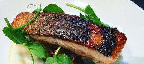 The Shaggy Cow - Accommodation Coffs Harbour 0