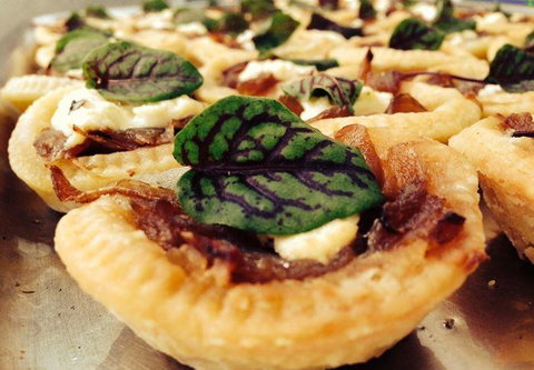 The Shaggy Cow - Accommodation Coffs Harbour 10