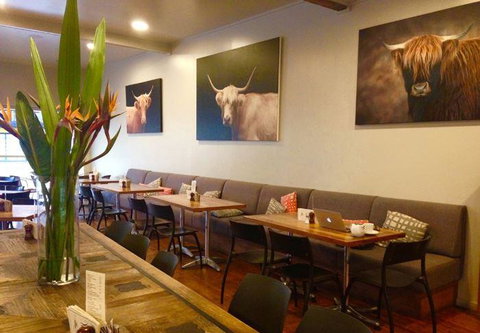 The Shaggy Cow - Accommodation Coffs Harbour 11