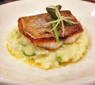 The Shaggy Cow - Accommodation Coffs Harbour 13