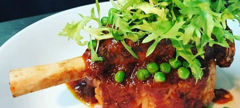 The Shaggy Cow - Accommodation Coffs Harbour 2