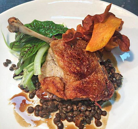 The Shaggy Cow - Accommodation Coffs Harbour 8