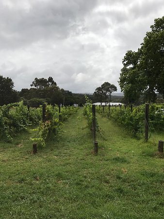 Upper Beaconsfield VIC Accommodation Coffs Harbour