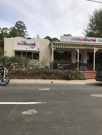 Little Red Duck Cafe - Accommodation Coffs Harbour 0