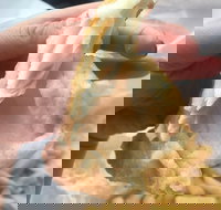 Coleraine Milk Bar - Accommodation Coffs Harbour