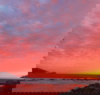 Point Cafe - Accommodation Coffs Harbour