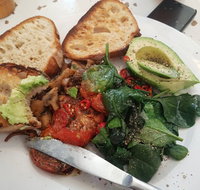 Gold Fish Bowl - Accommodation Coffs Harbour