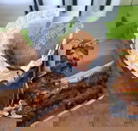 Hello Harry - Accommodation Coffs Harbour