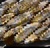 Armstrongs Oysters - Accommodation Coffs Harbour
