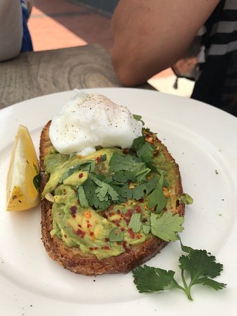 Avoca Beach NSW Accommodation Coffs Harbour